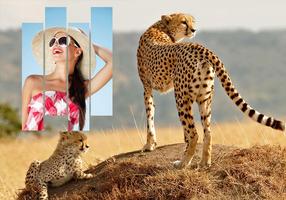 3D Wildlife Animal Photo Frame تصوير الشاشة 1