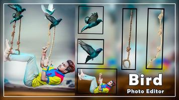 Bird Photo Editor screenshot 2