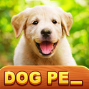 1 Pic N Words - Word Puzzle APK