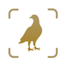 Bird identifier - Picture bird APK