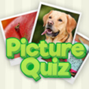 Picture Quiz APK