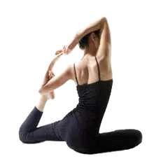 Pilates APK Herunterladen