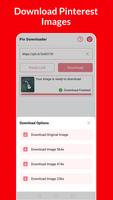 Pinterest Video Downloader স্ক্রিনশট 2