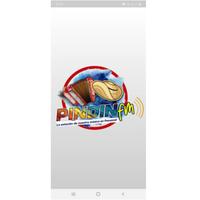 PINDIN FM plakat