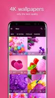 Pink Wallpapers 4K 海報