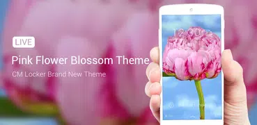 Pink flower blossom live theme