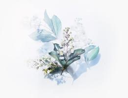 Học vẽ bằng màu nước. ảnh chụp màn hình 3