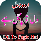 Dil To Pagle Hai أيقونة