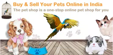 Pets Buying & Selling Online