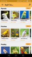 Pets Buying & Selling Online screenshot 3