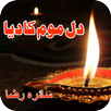 Novel Dil Mom Ka Diya APK