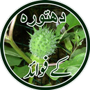 khawas dhatura In Urdu APK