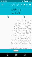 Kuliyat-e-Iqbal Urdu captura de pantalla 3