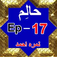 Halim Episode 17 by Nimra Ahmed Affiche