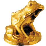 EnergaCAMERIMAGE APK