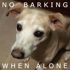 When dog is alone AntiBarking icône