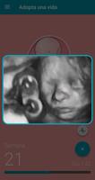 Adopta una Vida captura de pantalla 1