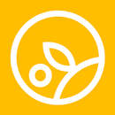 Libero – Galeria Libero APK