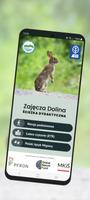 Zajęcza Dolina 포스터