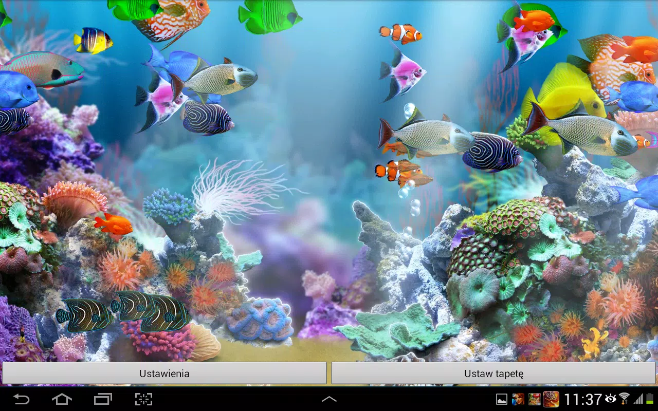 Aquarium Live Wallpaper HD APK for Android Download Aquarium Live Wallpaper HD APK for Android Download