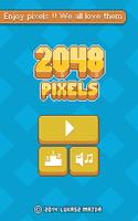 2048 Pixels 海报