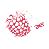 Bzyk Fit APK