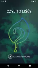 Czyj to liść? アプリダウンロード