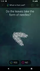 What is that leaf? APK download