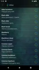 What is that leaf? APK download