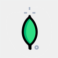 MongoGrip - MongoDB Client
