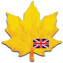 Learn english vocabulary APK