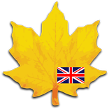 Learn english vocabulary