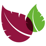 Taxi EcoCar - TAXI PREMIUM