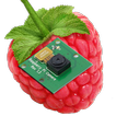 ”RaspberryPi Camera Viewer