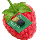 RaspberryPi Camera Viewer icône