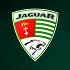 Jaguar Gdańsk icon