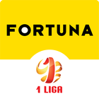 Fortuna 1 Liga icône