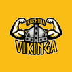 Kuchnia Vikinga