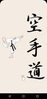 Poster Karate Shotokan Guide