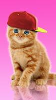 Sweet Cat. Dress Up Wallpaper screenshot 1