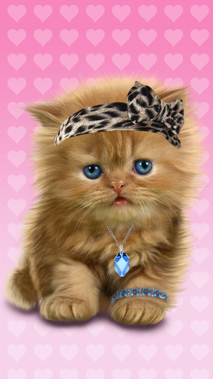 Android 用の 赤ちゃん猫 かわいいライブ壁紙 Apk をダウンロード