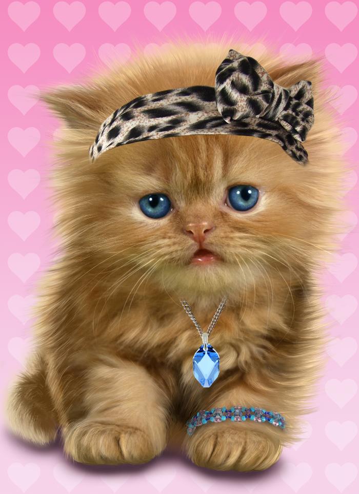 Android 用の 赤ちゃん猫 かわいいライブ壁紙 Apk をダウンロード