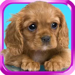 Sweet dog, puppy, dress up APK download