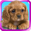 Sweet dog, puppy, dress up APK