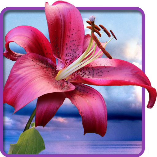 Blumen. Magic Touch Tapete