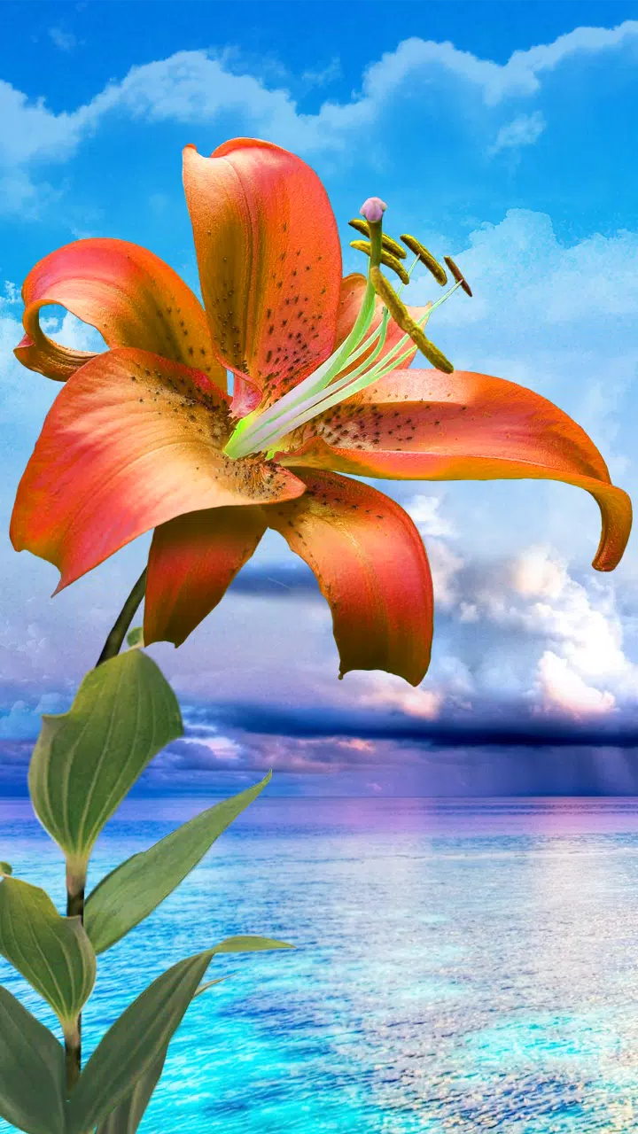 Flowers. Magic Touch Wallpaper APK for Android Download