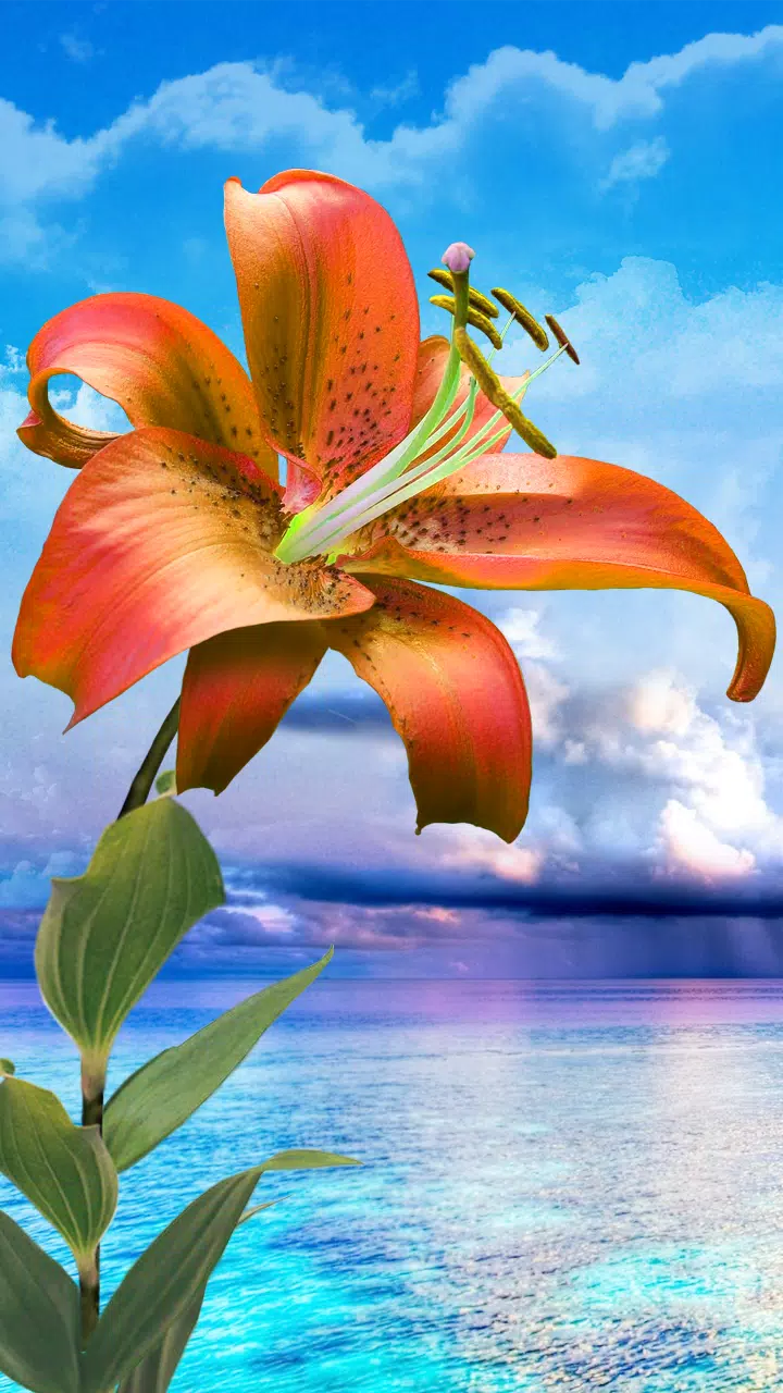 Flowers. Magic Touch Wallpaper APK for Android Download Flowers. Magic Touch Wallpaper APK for Android Download
