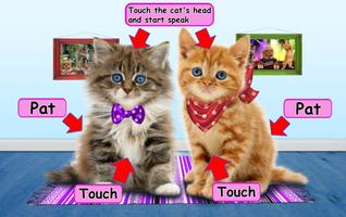 Funny Talking Cats পোস্টার