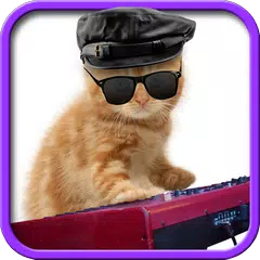 Funny cats Dancing and playing