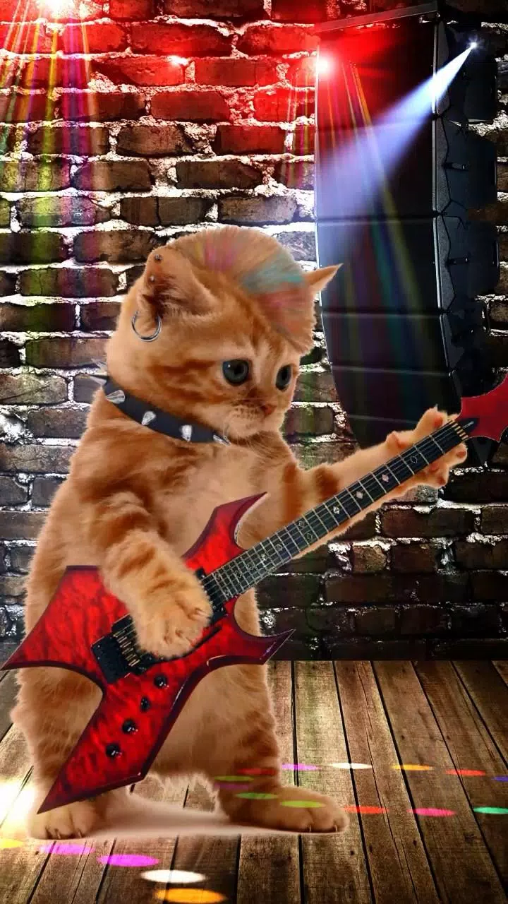 Dancing and Singing Funny Pets APK for Android Download Dancing and Singing Funny Pets APK for Android Download